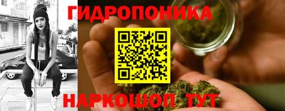 гидра Берёзовский