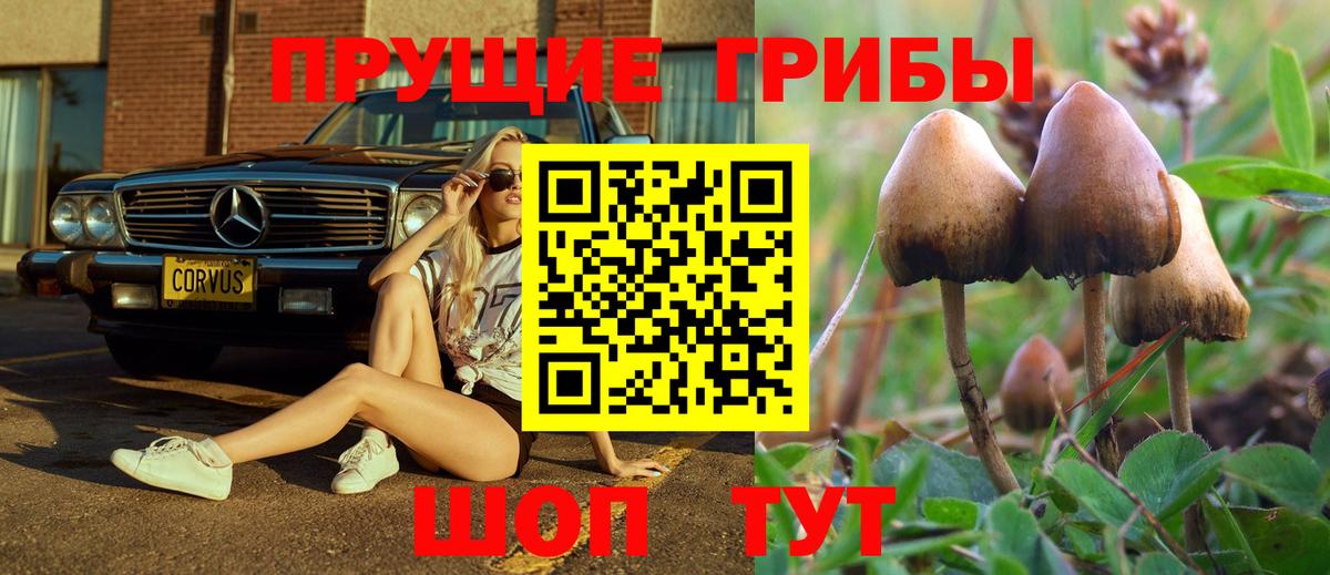 купить закладку  Псилоцибиновые грибы Psilocybine cubensis  Вход с VPN  Галлюциногенные грибы Psilocybine cubensis  Владимир 